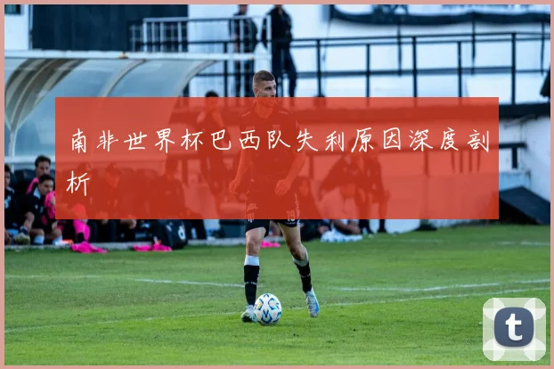 南非世界杯巴西队失利原因深度剖析