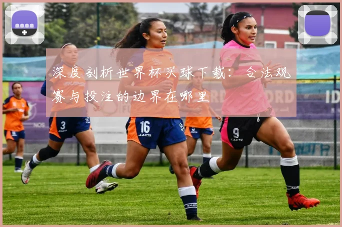 深度剖析世界杯买球下载:合法观赛与投注的边界在哪里
